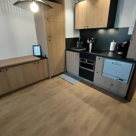 Magnifique 3 Etoiles En Hyper Centre Avec Place Privee Appartement