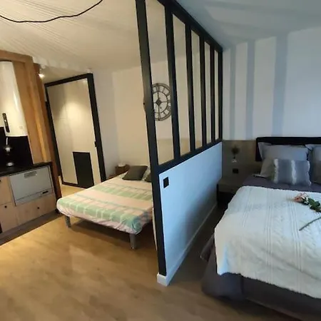 Appartement Magnifique 3 Etoiles En Hyper Centre Avec Place Privee