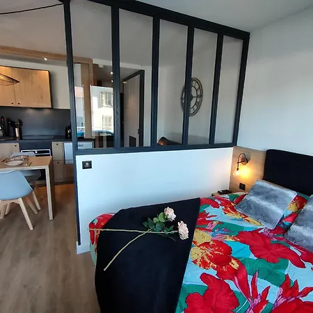 Apartmán Magnifique 3 Etoiles En Hyper Centre Avec Place Privee Aix-les-Bains