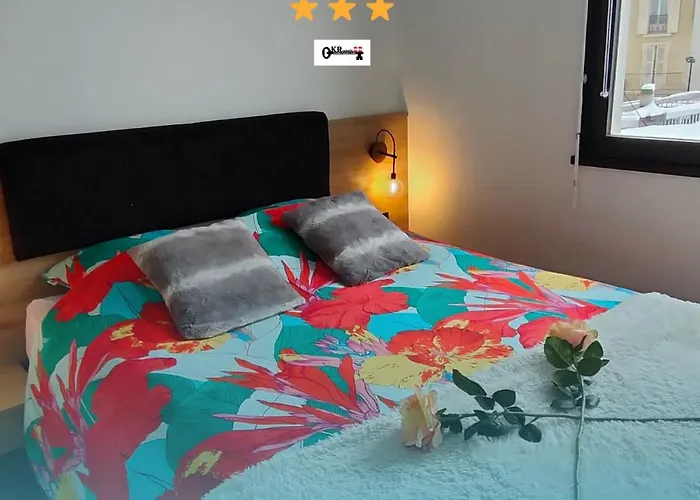 Magnifique 3 Etoiles En Hyper Centre Avec Place Privee Daire Aix-les-Bains