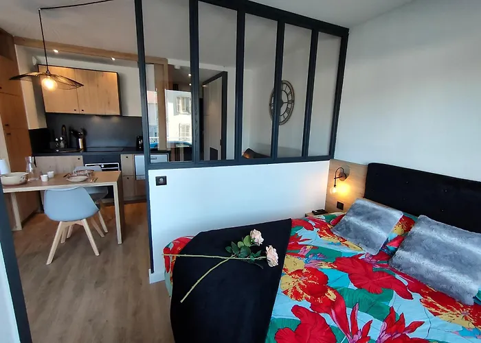 Daire Magnifique 3 Etoiles En Hyper Centre Avec Place Privee Aix-les-Bains