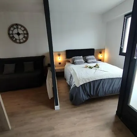 Magnifique 3 étoiles En Hyper Centre Avec Place Privée * Aix-les-Bains