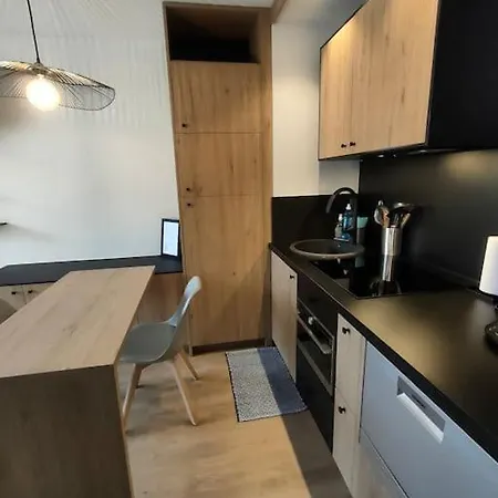 Apartmán Magnifique 3 Etoiles En Hyper Centre Avec Place Privee Aix-les-Bains