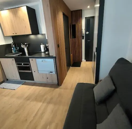 Magnifique 3 Etoiles En Hyper Centre Avec Place Privee アパート