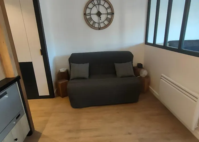 Magnifique 3 Etoiles En Hyper Centre Avec Place Privee * エクスレバン